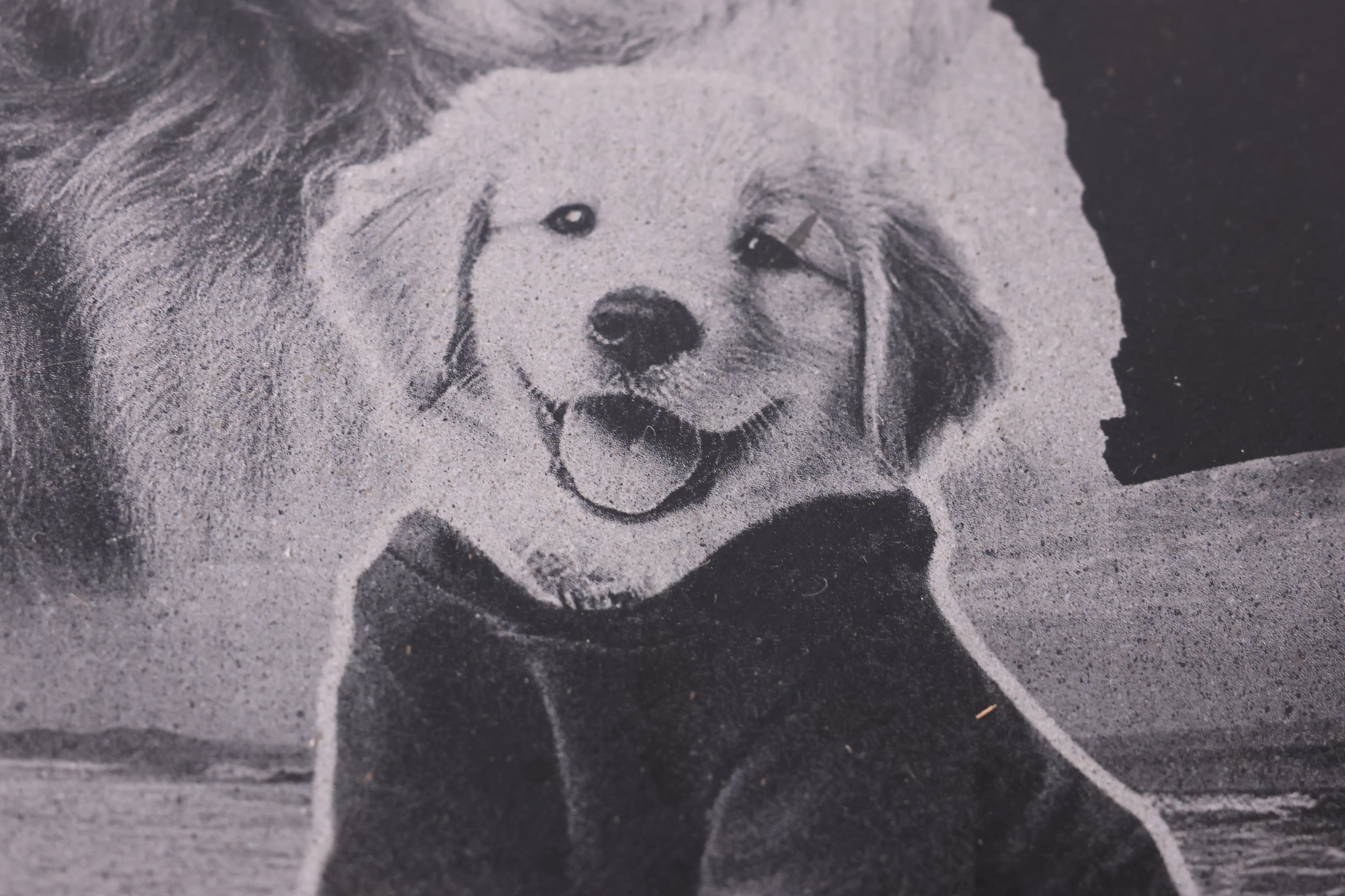 Laser gravierte Hunde bild auf Marmor mit großen detalen